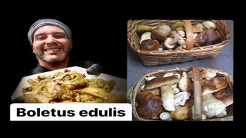 Boletus edulis salteado??