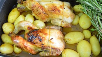 PICANTON CON CITRICOS Y MIEL DE ROMERO