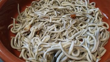 Cómo hacer gulas al ajillo, al estilo de Mariaje
