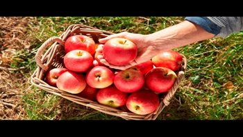 Tarta ?? De Manzana ????