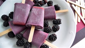 HELADO O PALETAS DE MORAS (SIN LACTOSA)