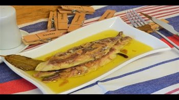 CABALLA EN ACEITE / MACKEREL IN OIL / CROCKPOT