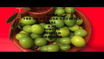 COMO ENDULZAR Y ALIÑAR ACEITUNAS Curarlas Extremadura