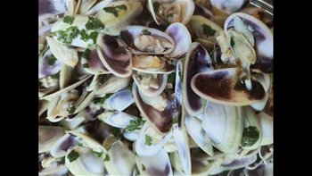 COQUINAS O TELLINAS AL AJILLO