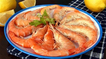 Cocer Langostinos ?? Langostinos Cocidos como un PRO ?